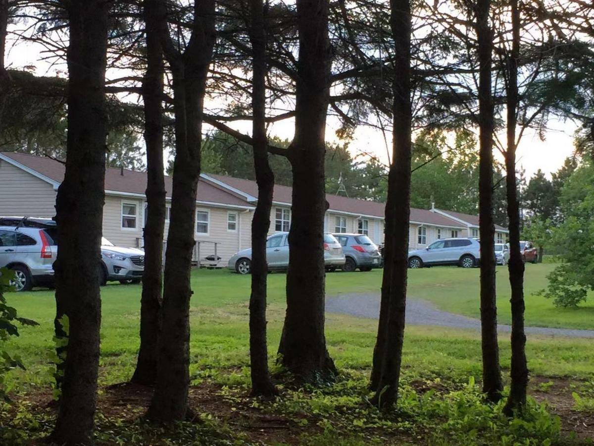 Rachel'S Motel And Cottages Surrey Exterior photo